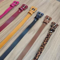 Cinto Feminino Retro Couro Sintético Tendência Blogueirinha